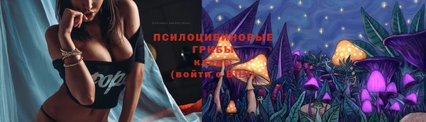 гашик Богородск