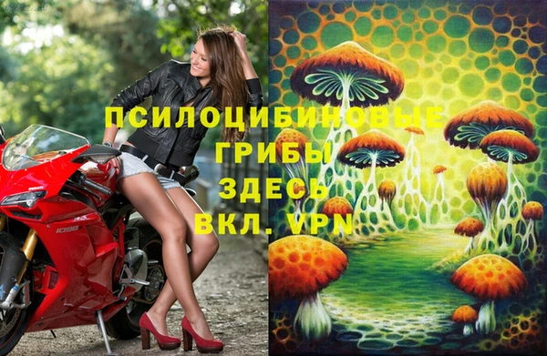ПСИЛОЦИБИНОВЫЕ ГРИБЫ Белокуриха