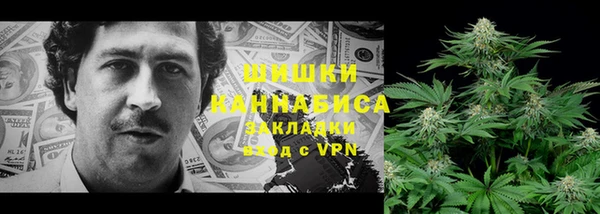 таблы Богородицк