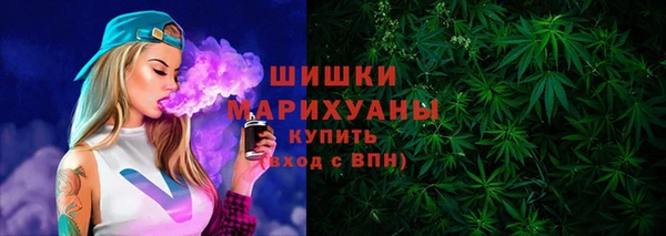 гашик Богородск
